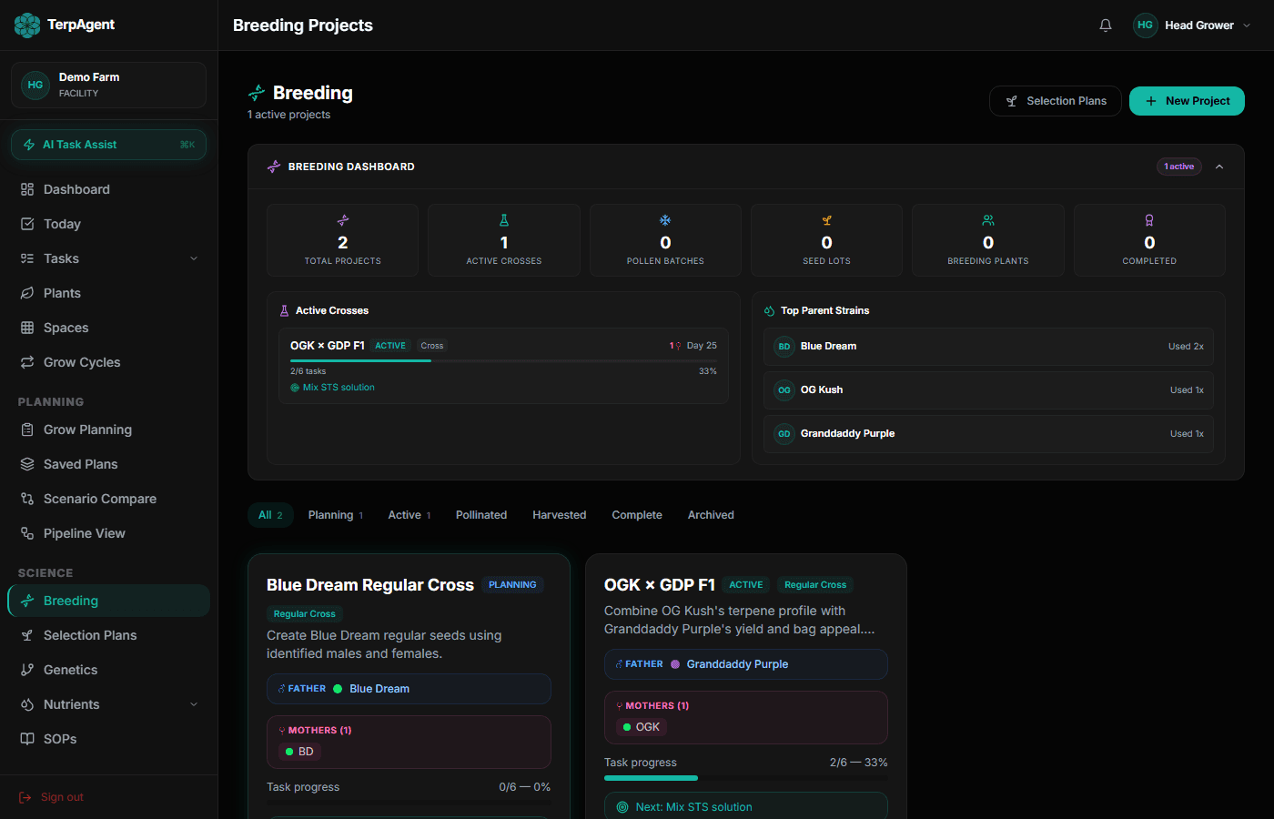 Breeding Projects dashboard showing OGK x GDP F1 active cross, parent strains, and task progress