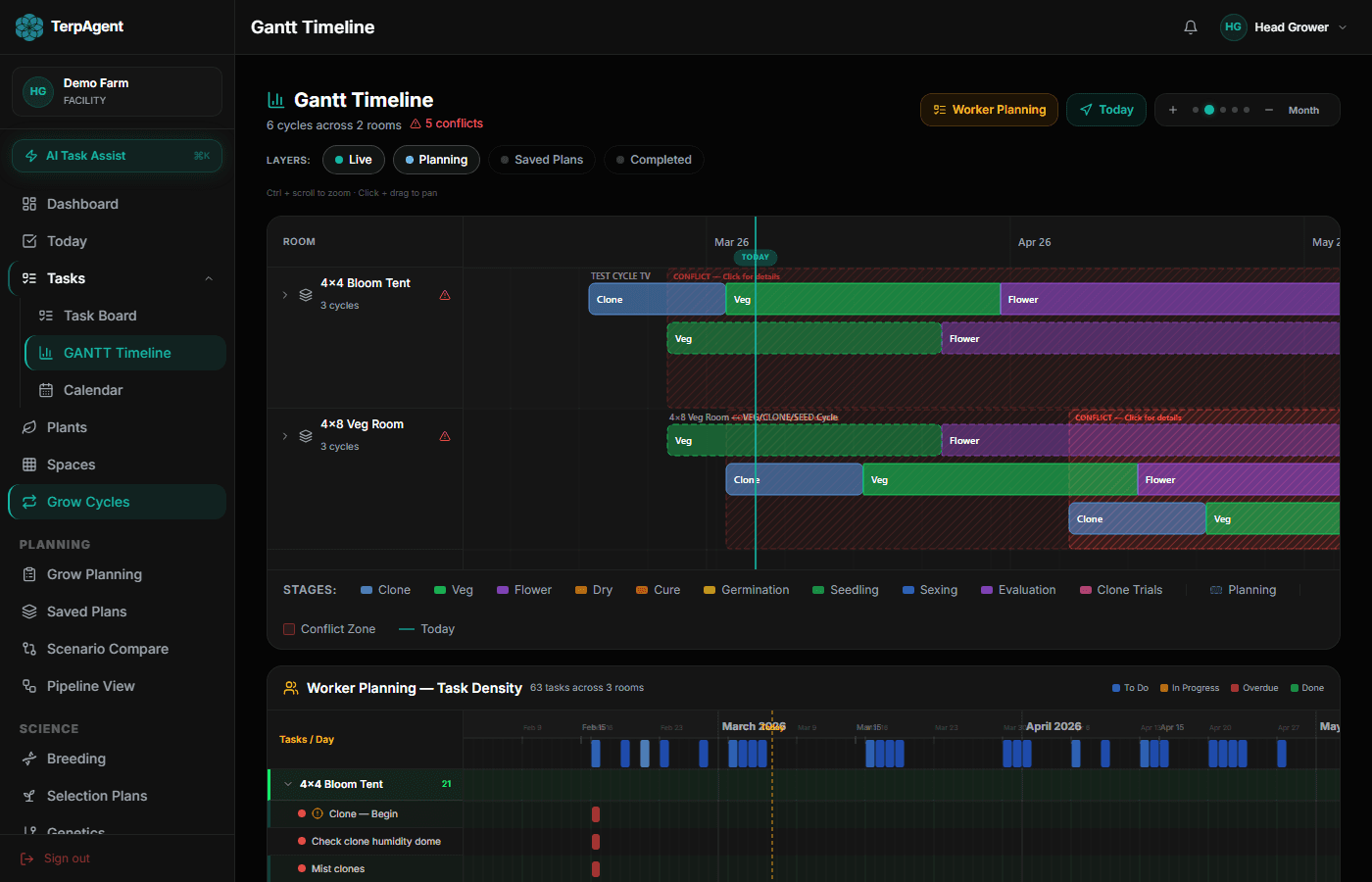 Gantt timeline with cycle stages and conflict detection